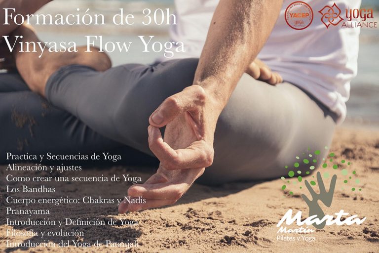 Taller Vinyasa Flow Yoga