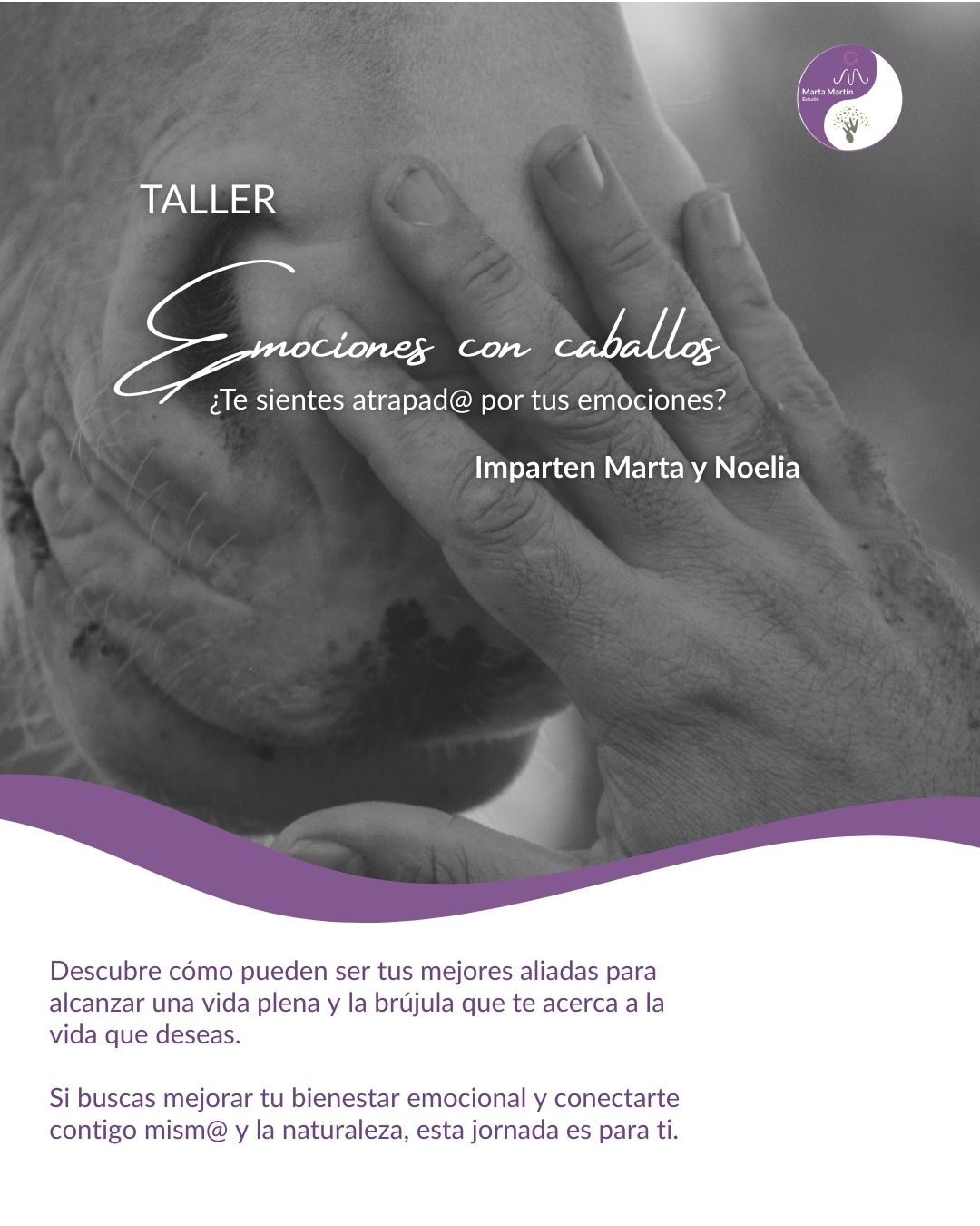 Emocionesconcaballos-alicante